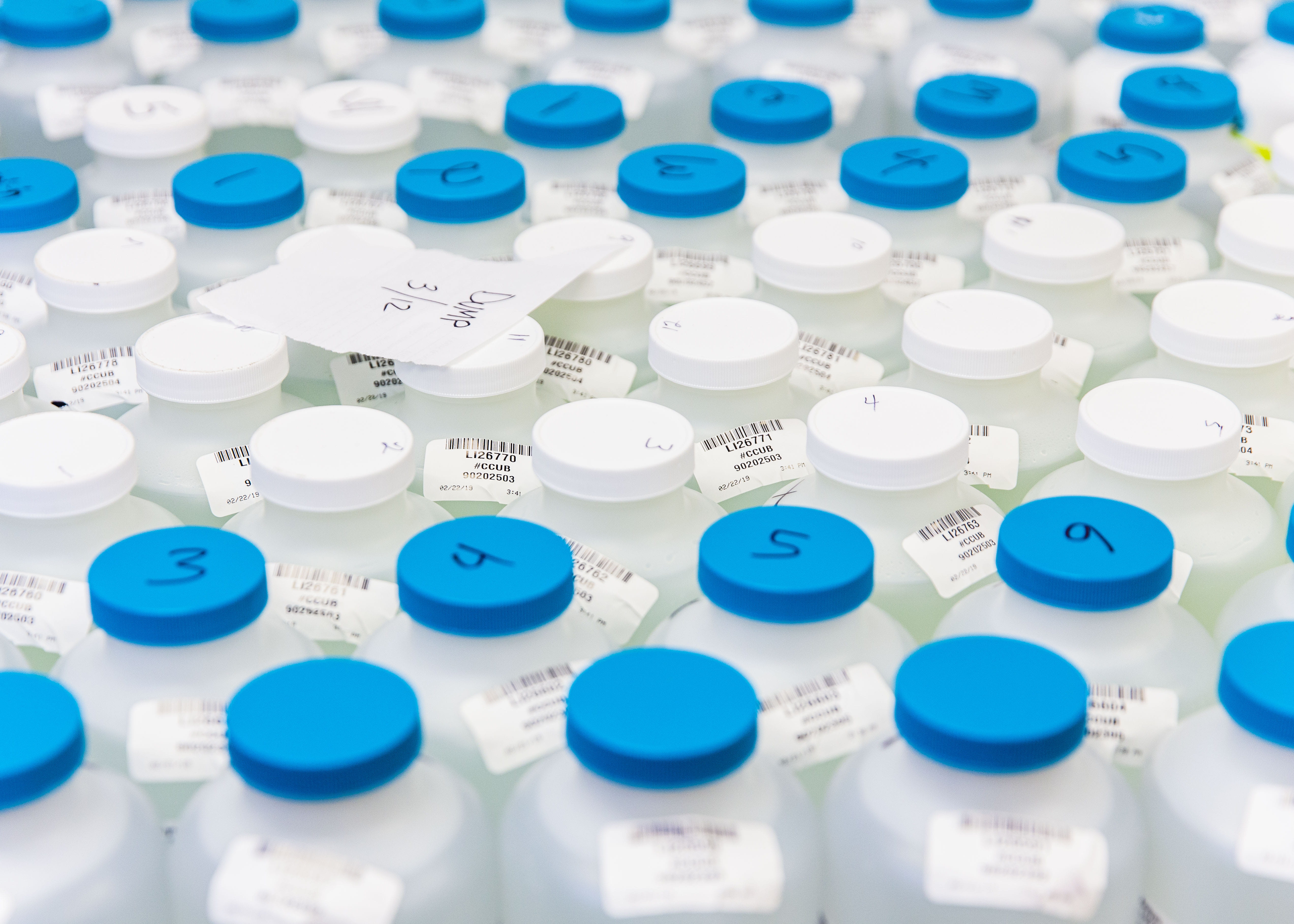 Lab technician analyzing water samples